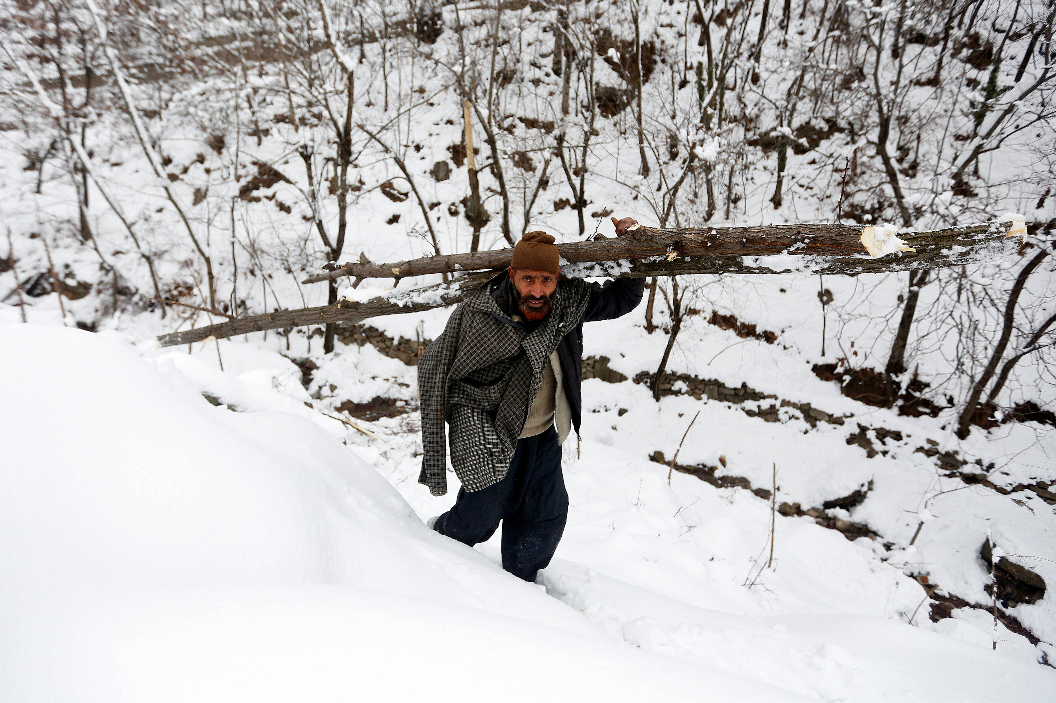 رجل يحمل جذوع أشجار على مرتفعات مغطاه بالثلج فى الهند