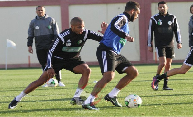 تدريب منتخب الجزائر