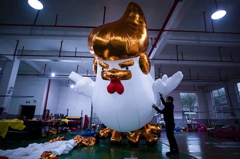 مجسم لديك يشبه الرئيس الامريكى دونالد ترامب فى مصنع بالصين