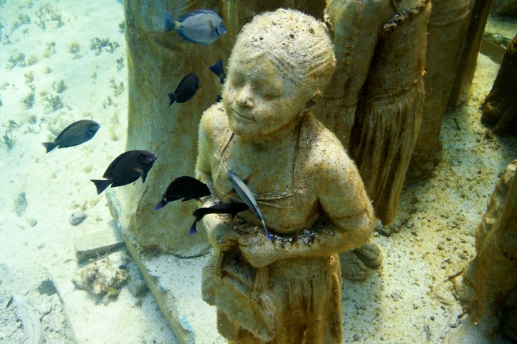 •	الأسماك تسبح حول التماثيل بمتحف موسى