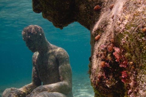 •	الطحالب على أحد التماثيل تحت المحيط