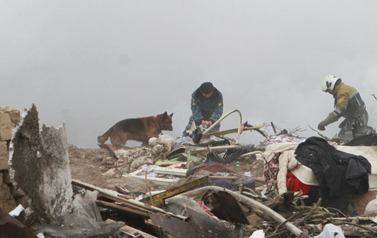 رجال الإنقاذ يستخدمون الكلاب البوليسية للبحث عن ضحايا تحطم الطائرة التركية