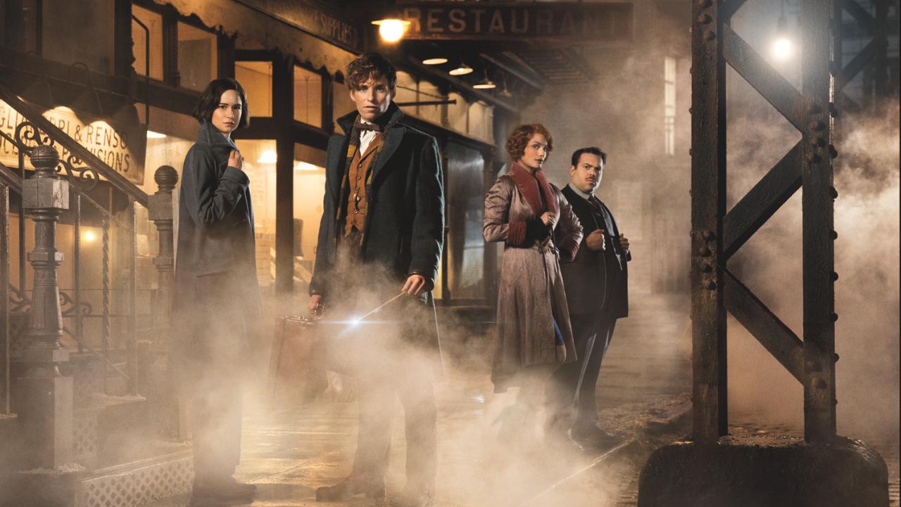 Fantastic Beasts And Where To Find Them (5)
