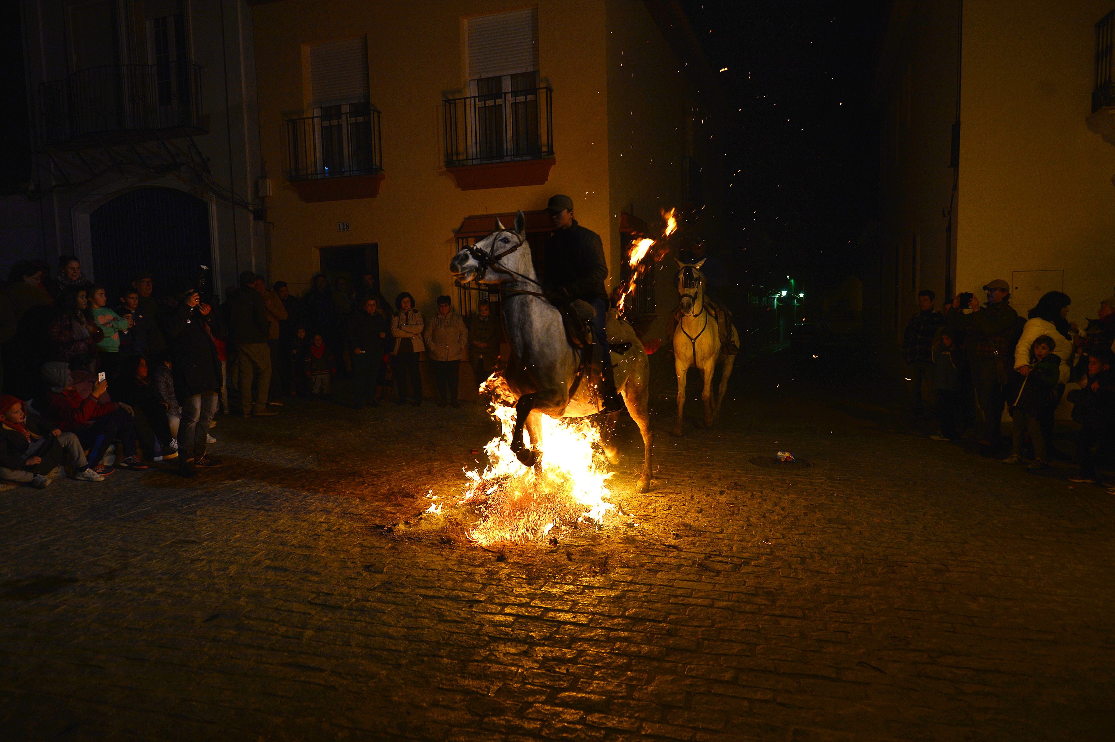 أحد الخيول يقفز فوق النيران