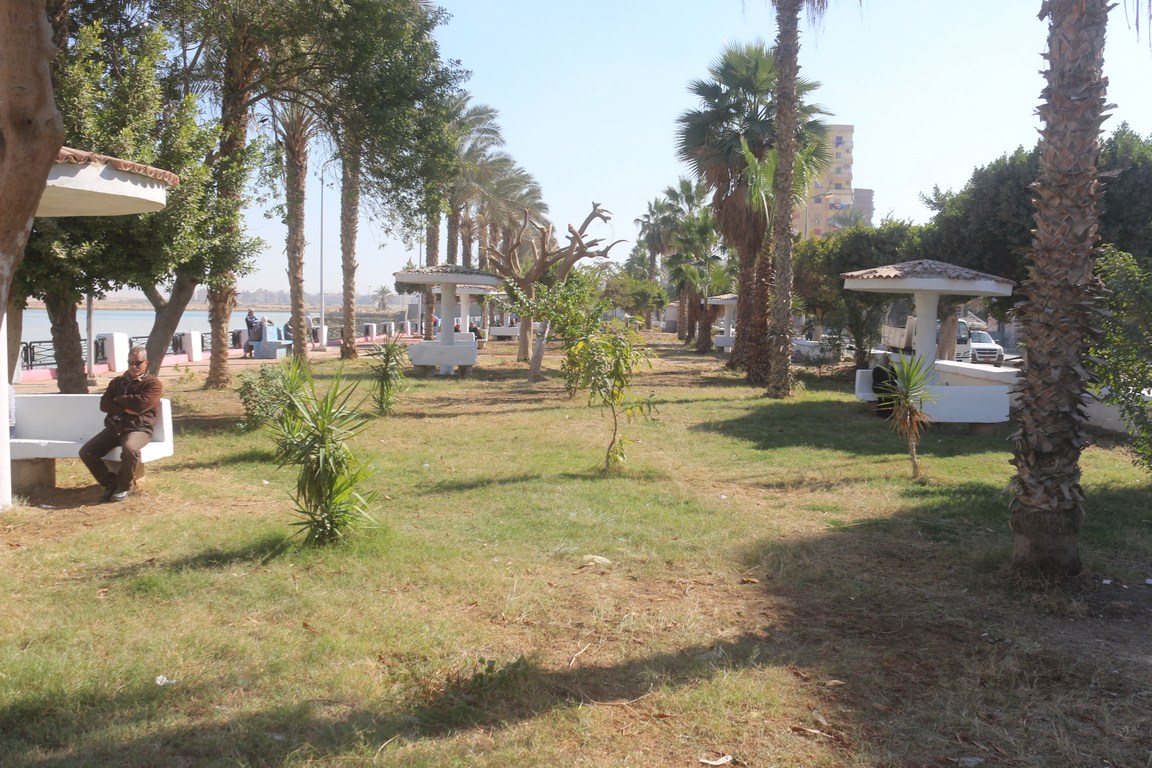 اعمل التطوير