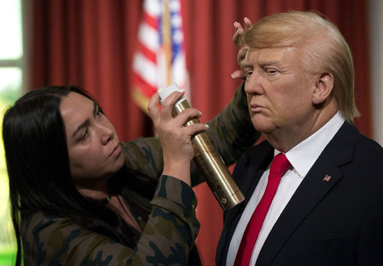 تثبيت شعر الرأس لتمثال الشمع للرئيس الأمريكى دونالد ترامب