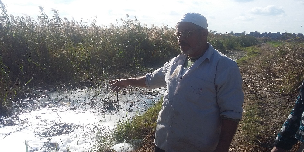 5- مزارع يتحسر على مياه الرى الملوثه