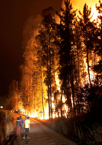 حرائق الغابات فى تشيلى