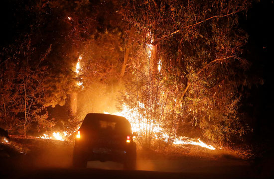 النيران تزحف باتجاه الغابات فى تشيلى