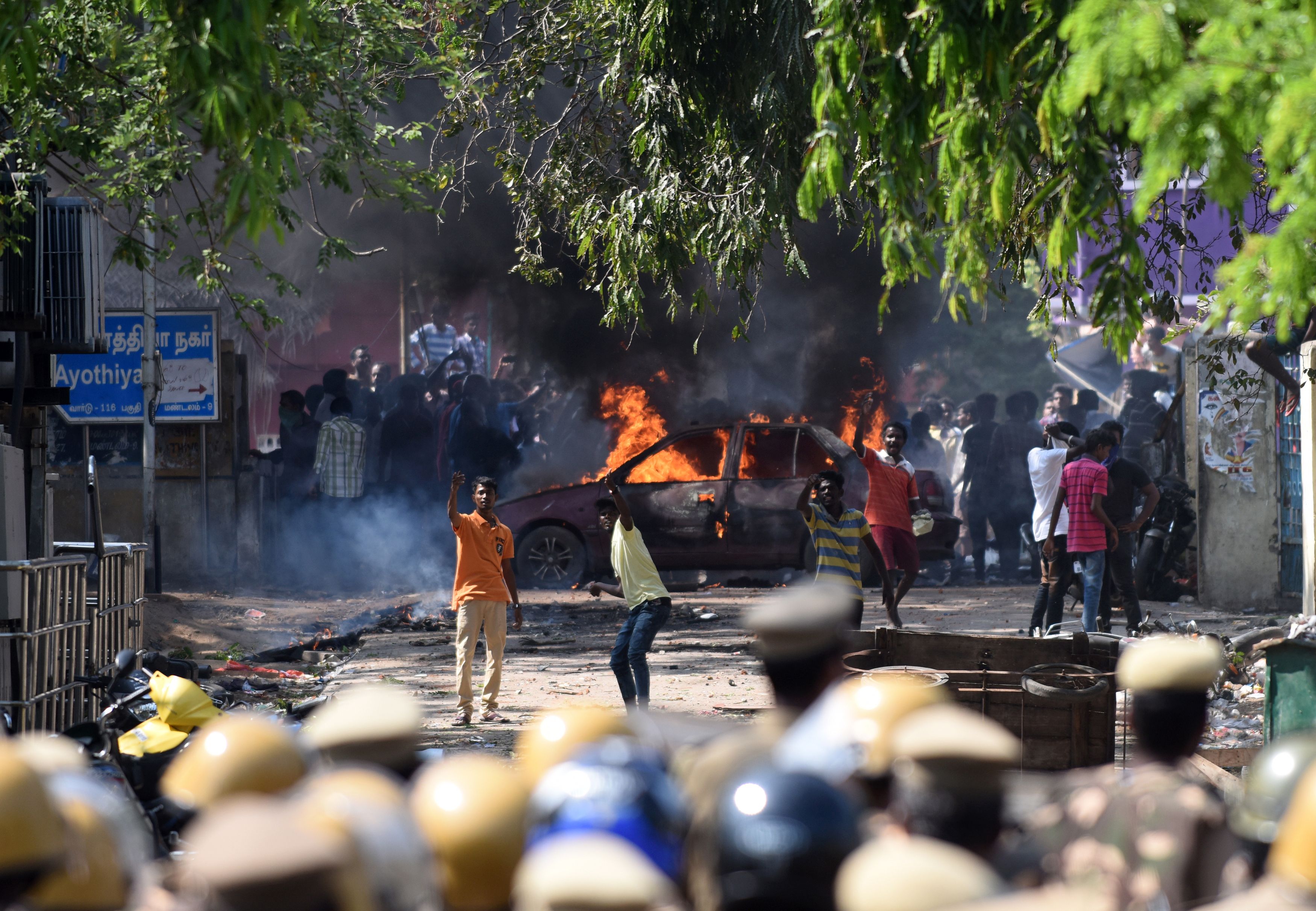 المحتجون على حظر مصارعة الثيران فى الهند يشعلون النار فى السيارات