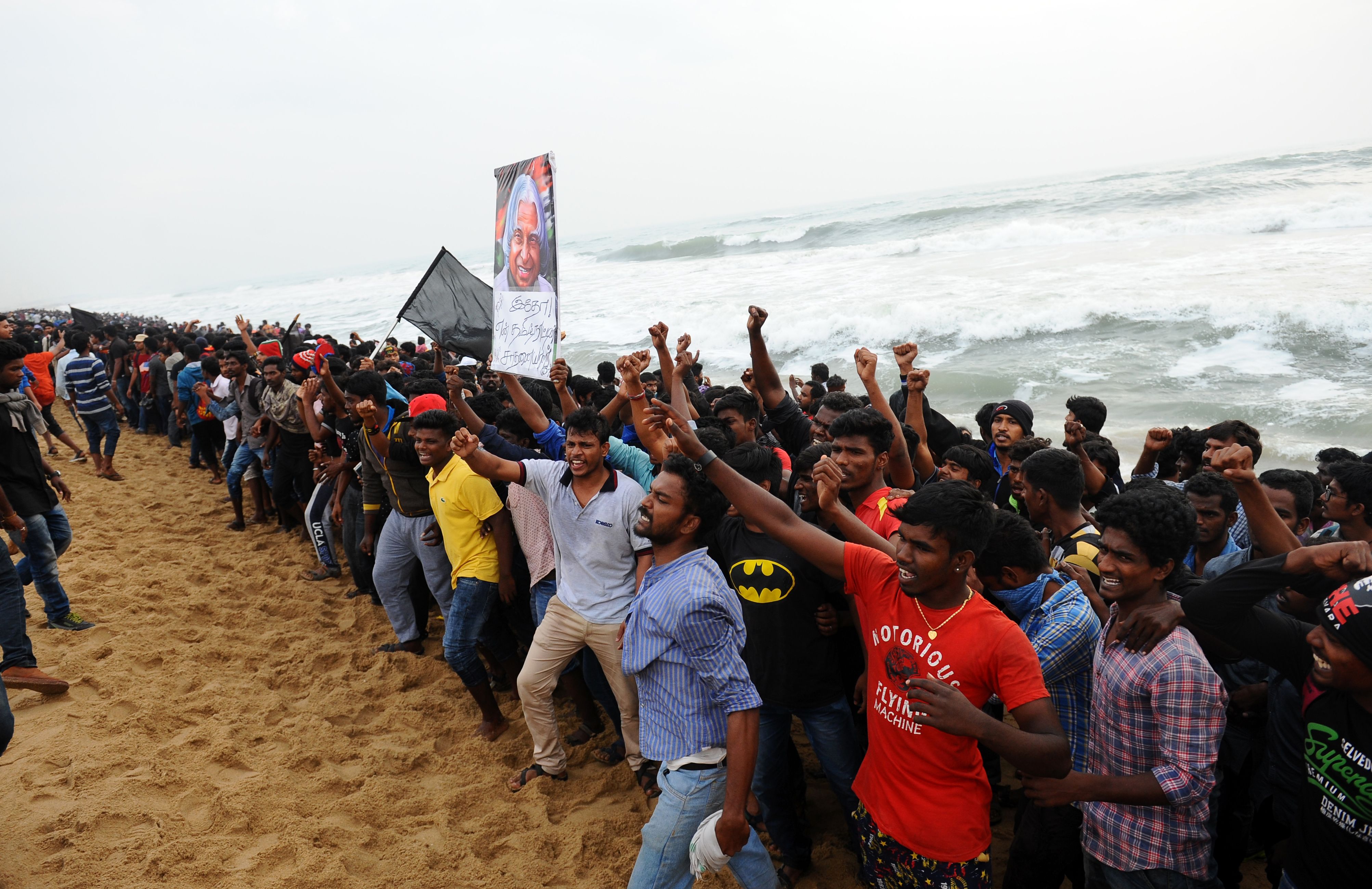 حظر مصارعة الثيران فى الهند يشعل مظاهرات حاشدة لرفض القرار