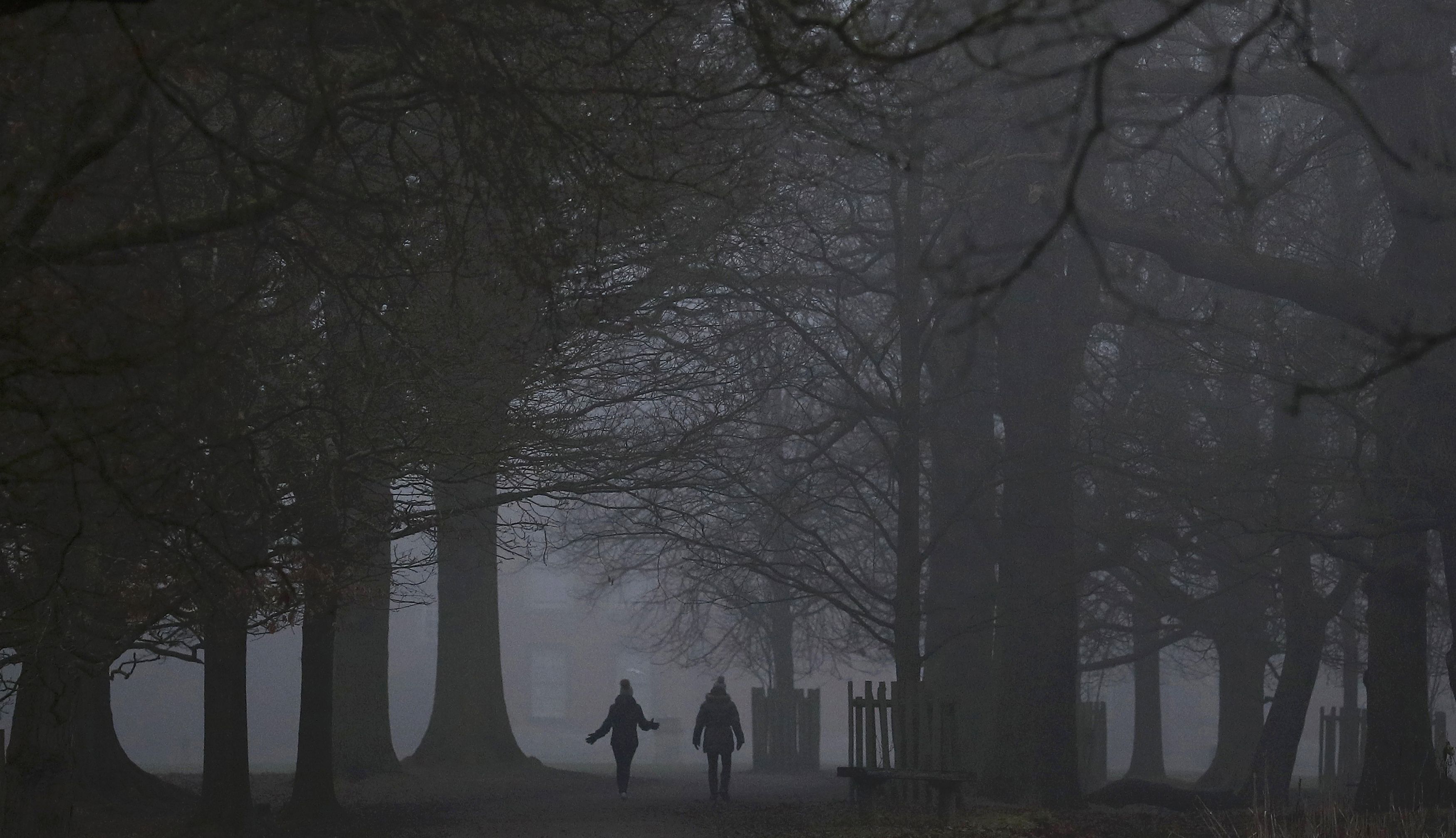 شخصان يسيران وسط الأشجار فى لندن خلال الضباب