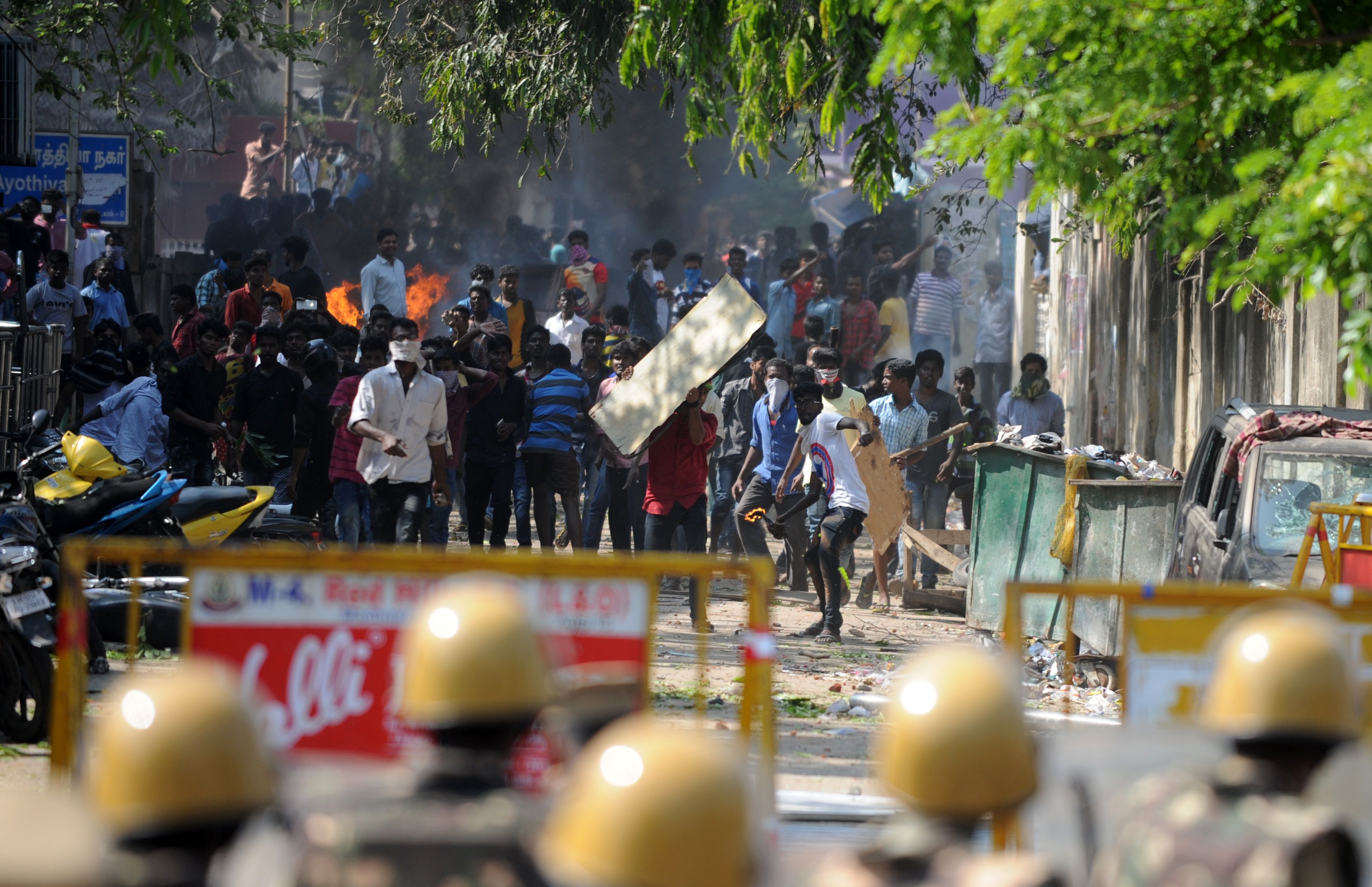 احتجاجات عنيفة فى الهند ضد قرار حظر مصارعة الثيران