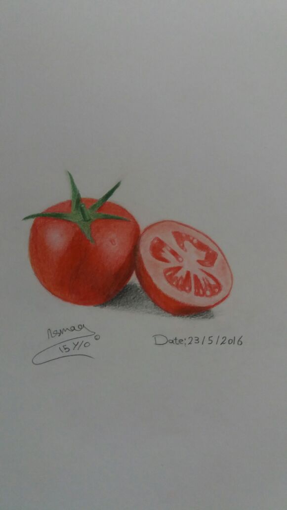 حبة طماطم