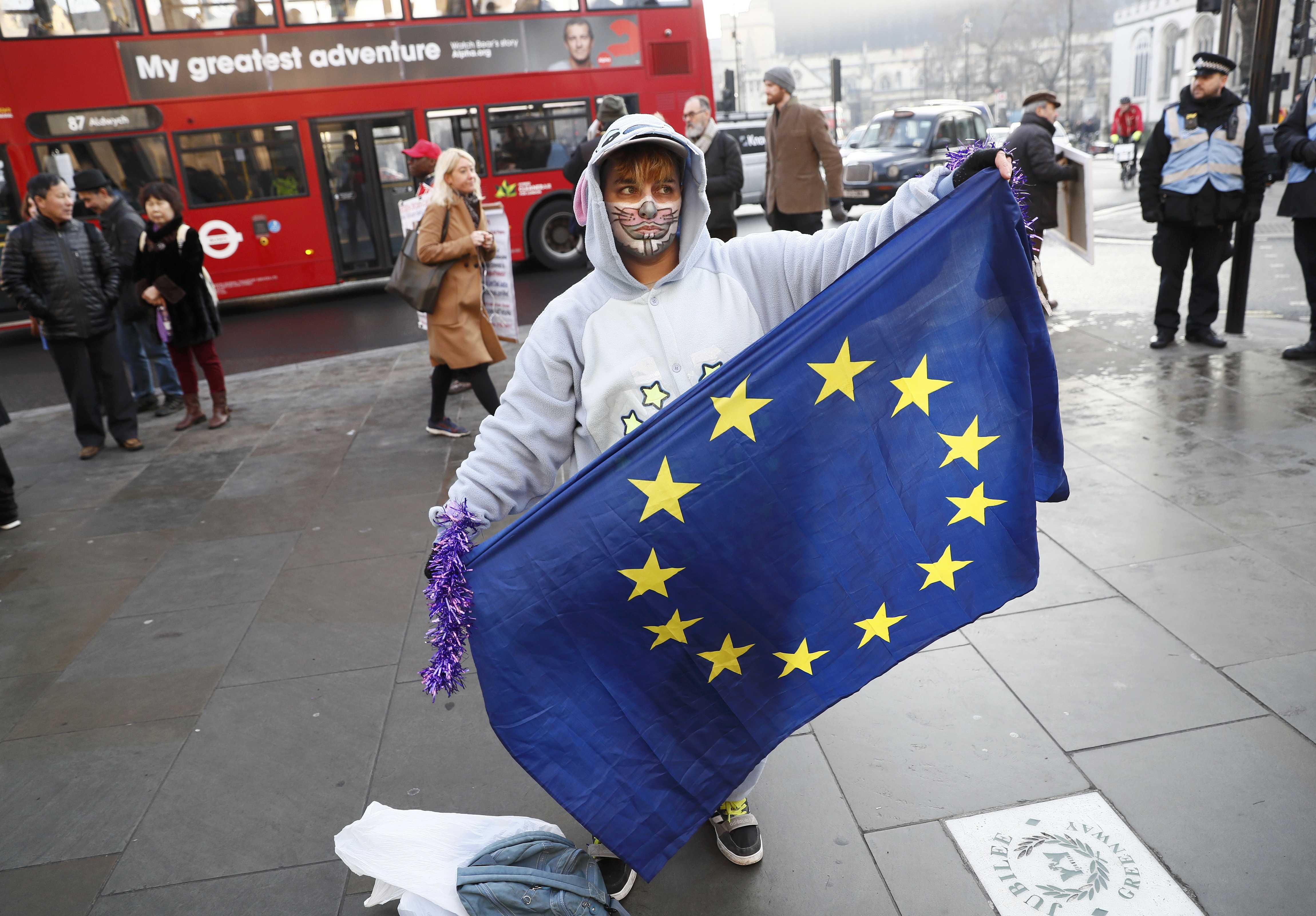 شاب يحمل علم الاتحاد الأوروبى أمام المحكمة العليا البريطانية