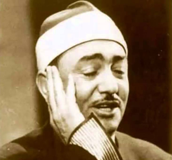 الشيخ محمد سيد النقشبندى