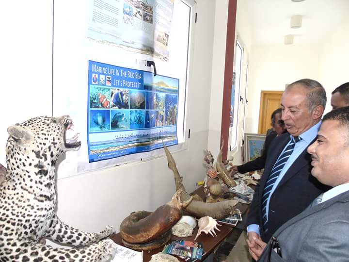 معرض الحياه البحرية والبرية بمكتبة مصر العامة