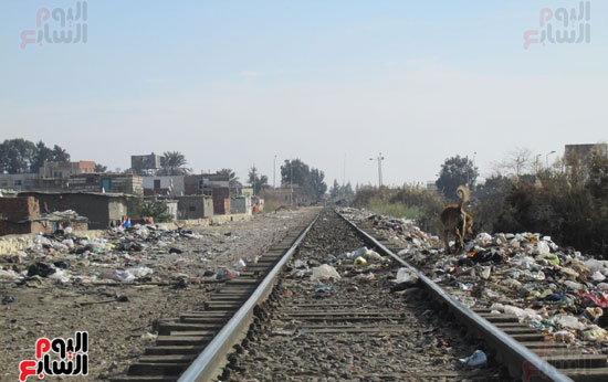 القمامة والقاذوزرات على جانبى شريط السكة الحديد