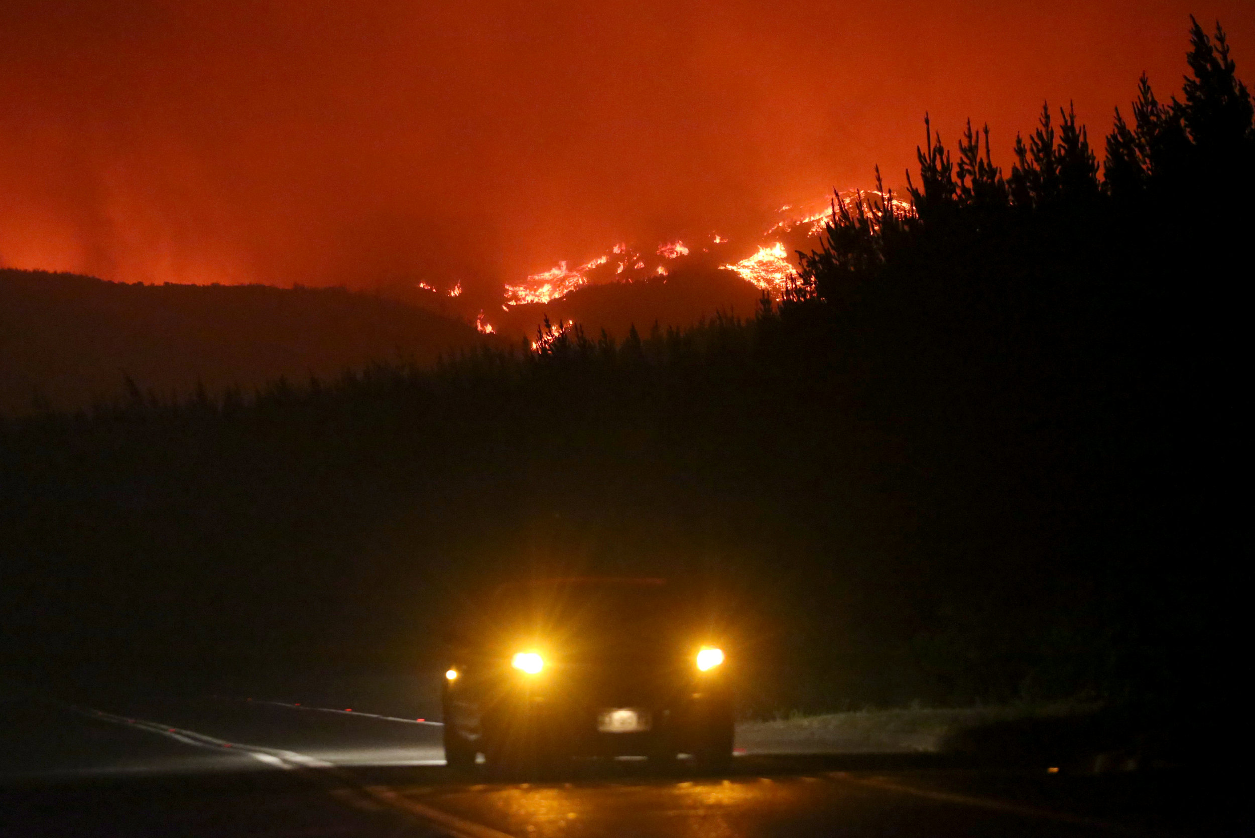 النيران تلتهم مساحات كبيرة فى غابات تشيلى