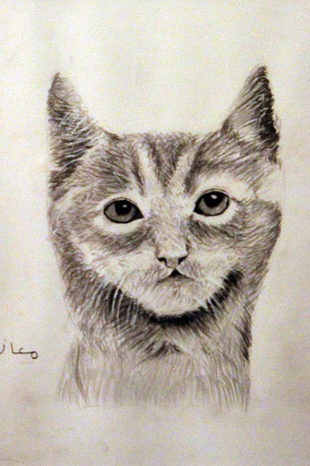 قطة-من-رسم-معاذ