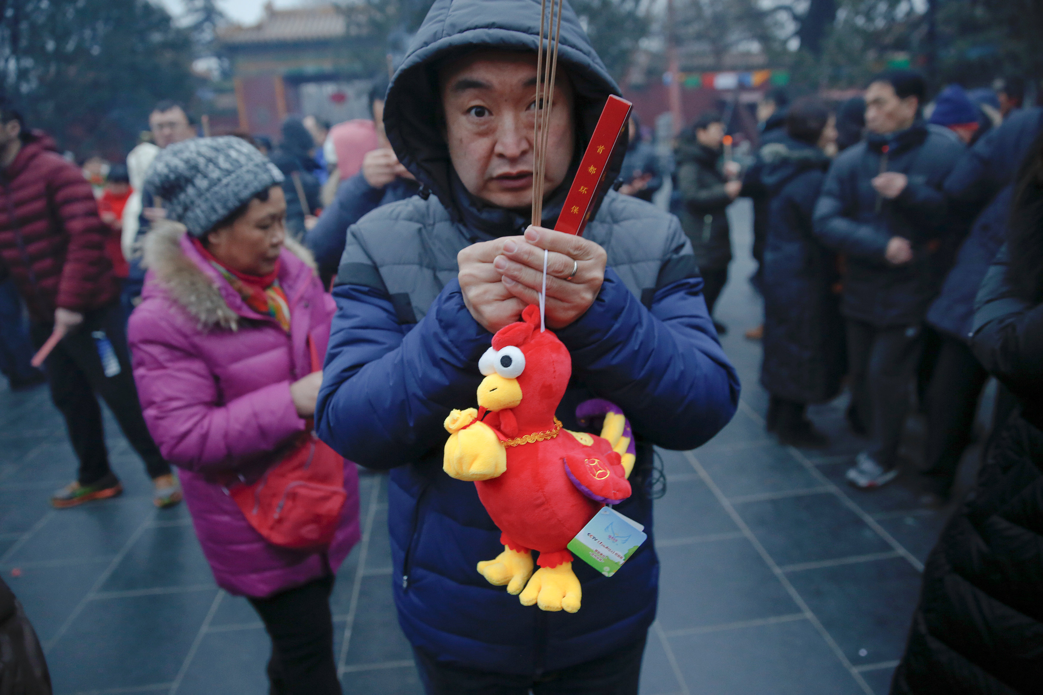 رجل يحمل دمية الديك رمز السنة القمرية الجديدة فى الصين