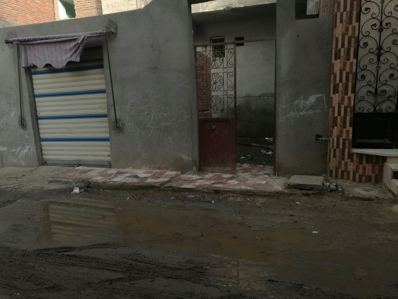 نشع  مياه الصرف الصحى على جدران منازل قرية الكرامة بالدقهلية