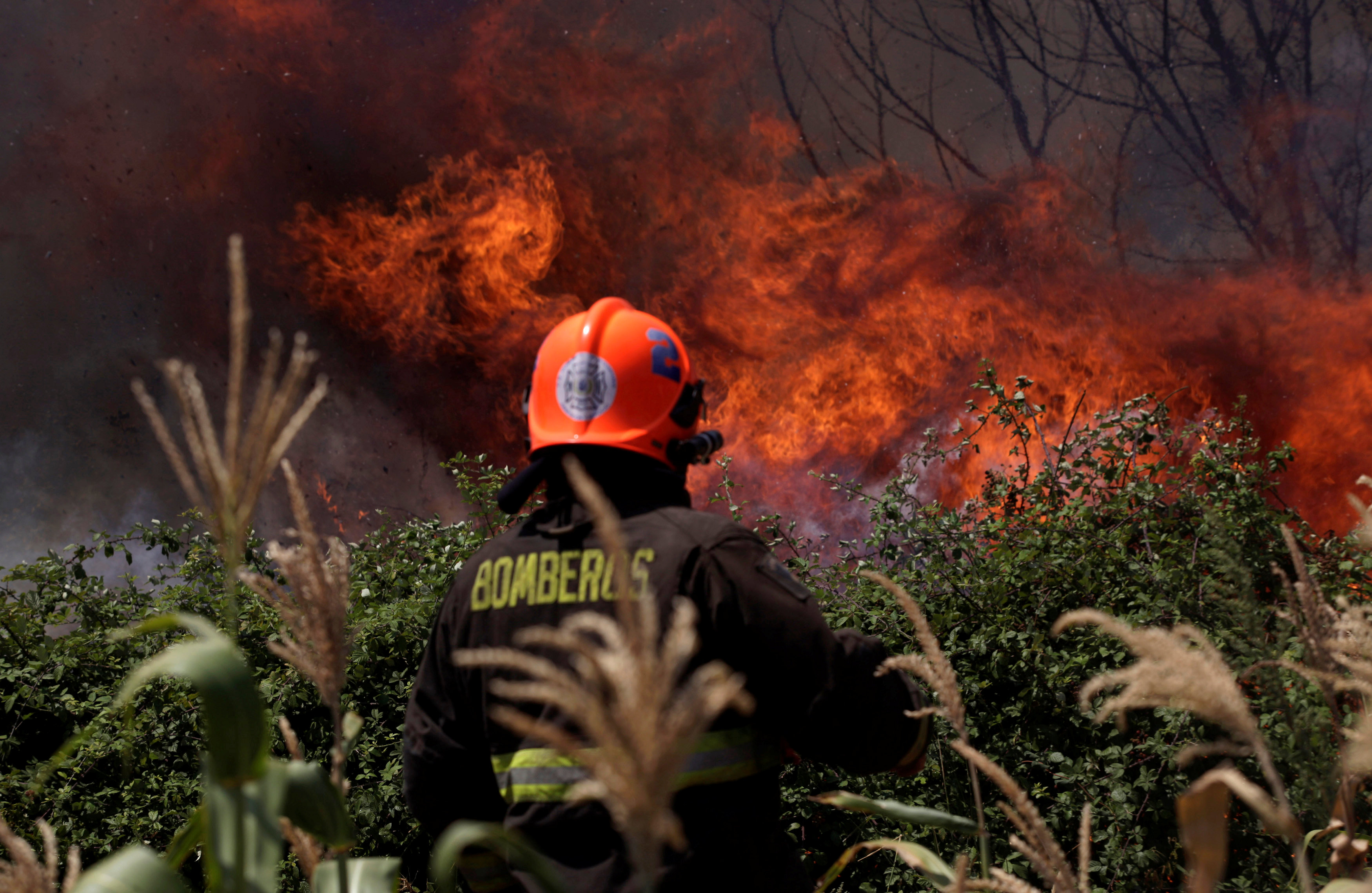 فريق الاطفاء يحاول السيطرة على حرائق الغابات- رويترز
