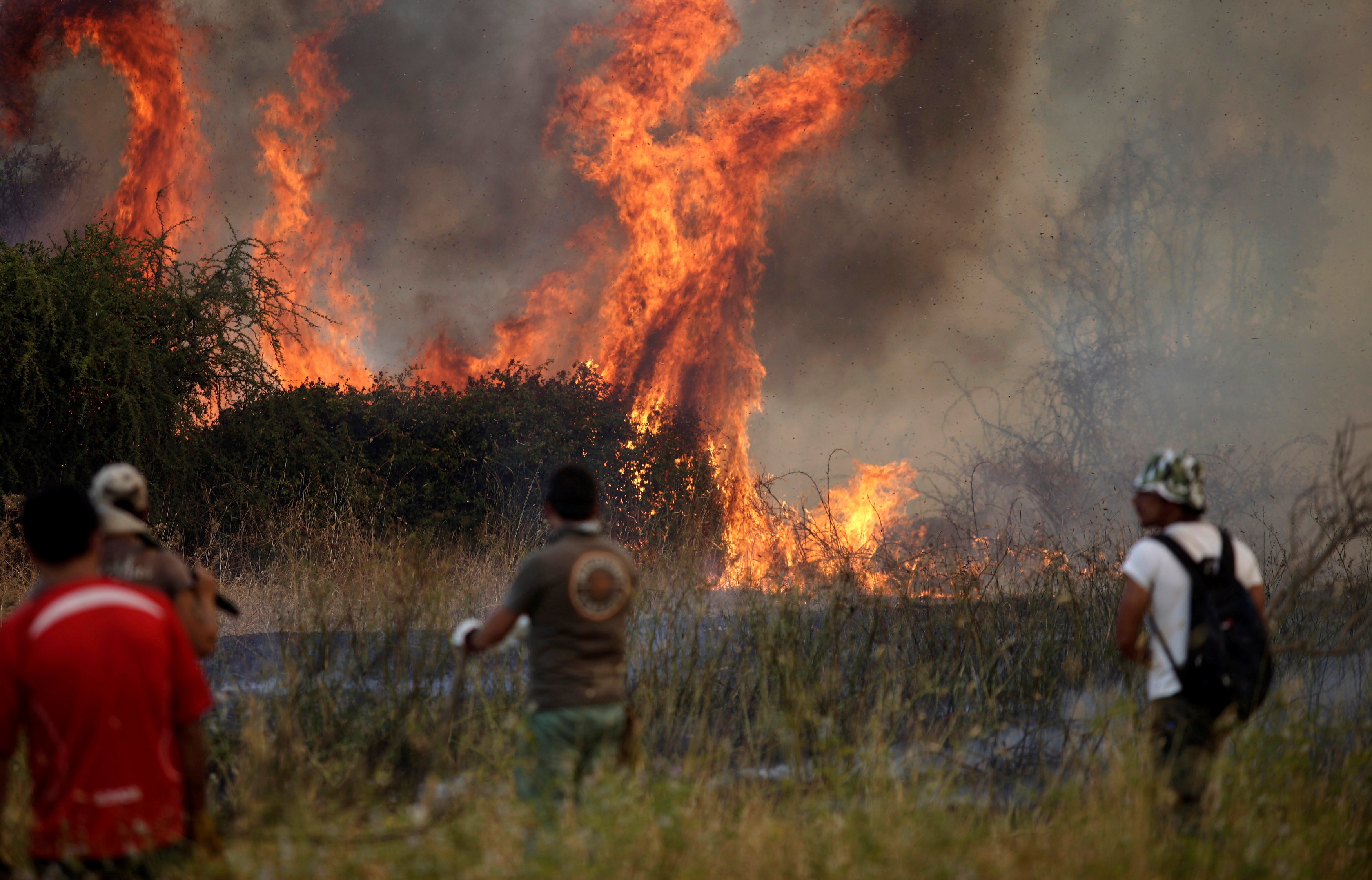 حرائق الغابات في مدينة سان كارلوس- رويترز