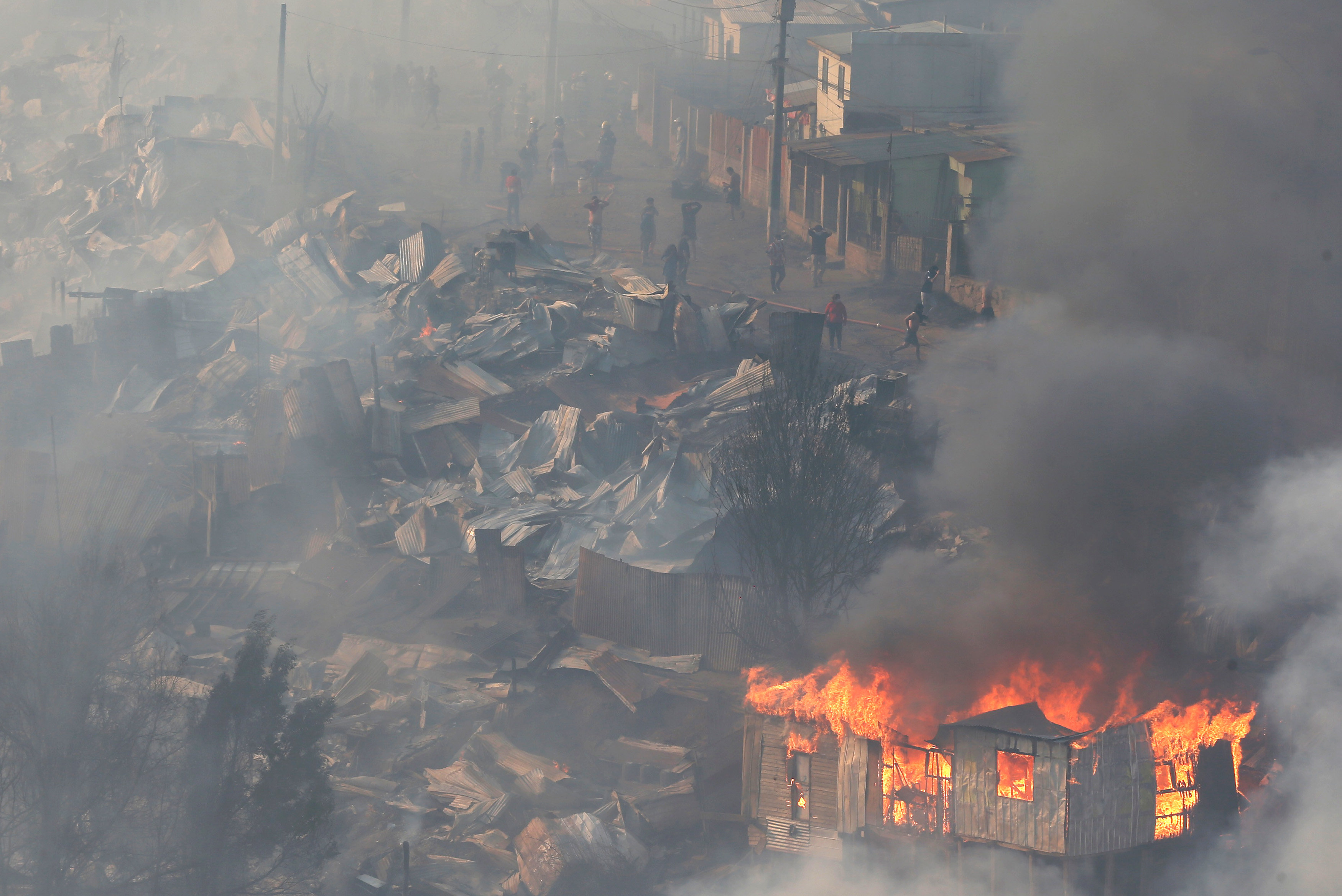 حرائق الغابات فى تشيلى تلتهم 100 منزل