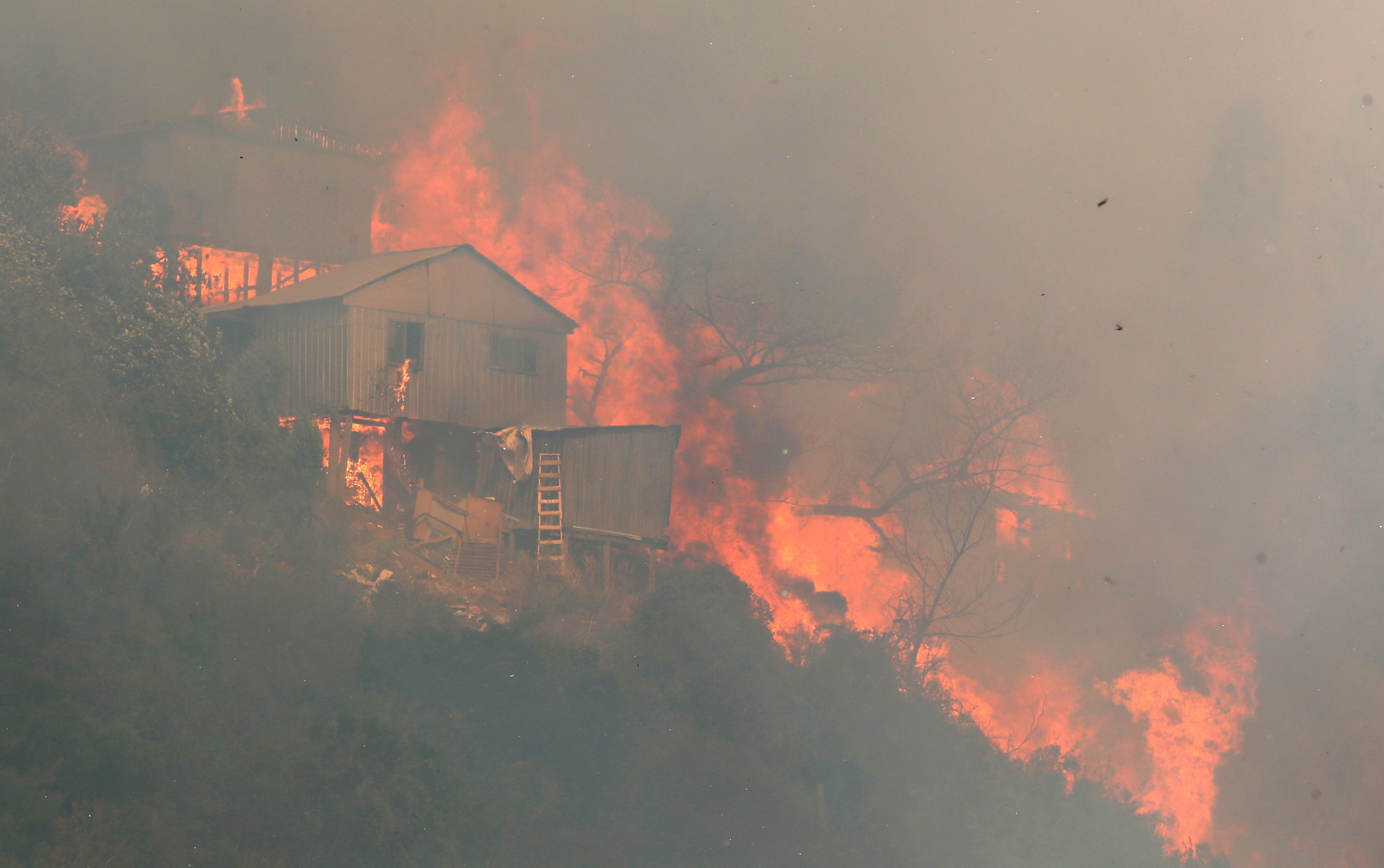 النار تلتهم  مايقرب من 100 منزل فى حرائق الغابات فى تشيلى