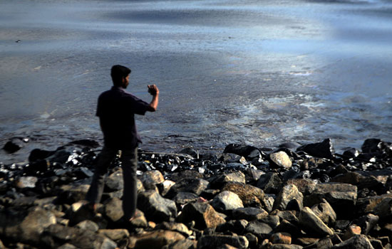 رجل يصور بقع الزيت الملوثة للمياه بالساحل الهندى