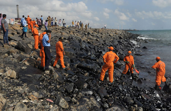 العمال بامتداد ساحل هندى يعملون على إزالة بقع الزيت من المياه