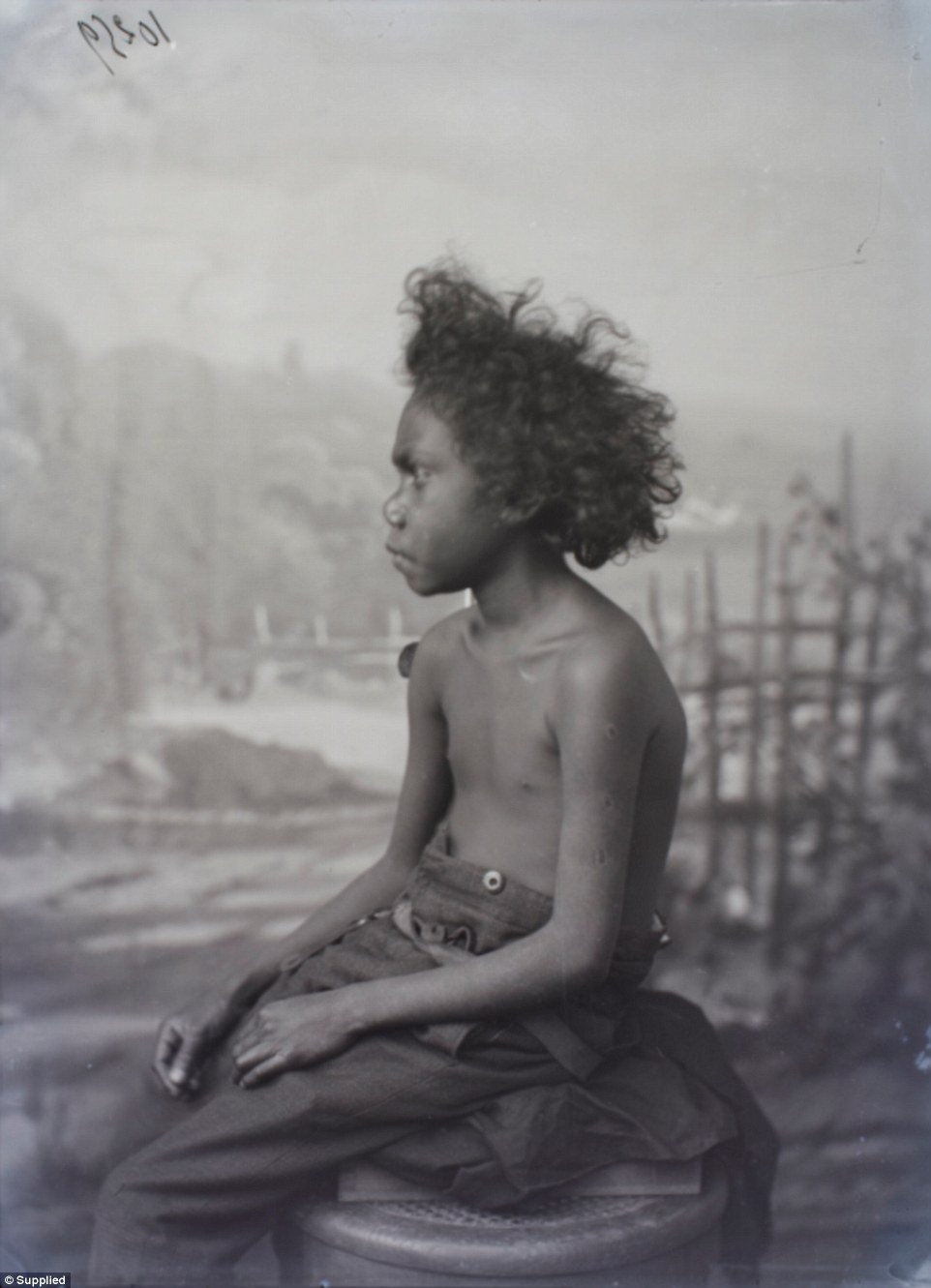  طفل من سكان أستراليا الأصليين