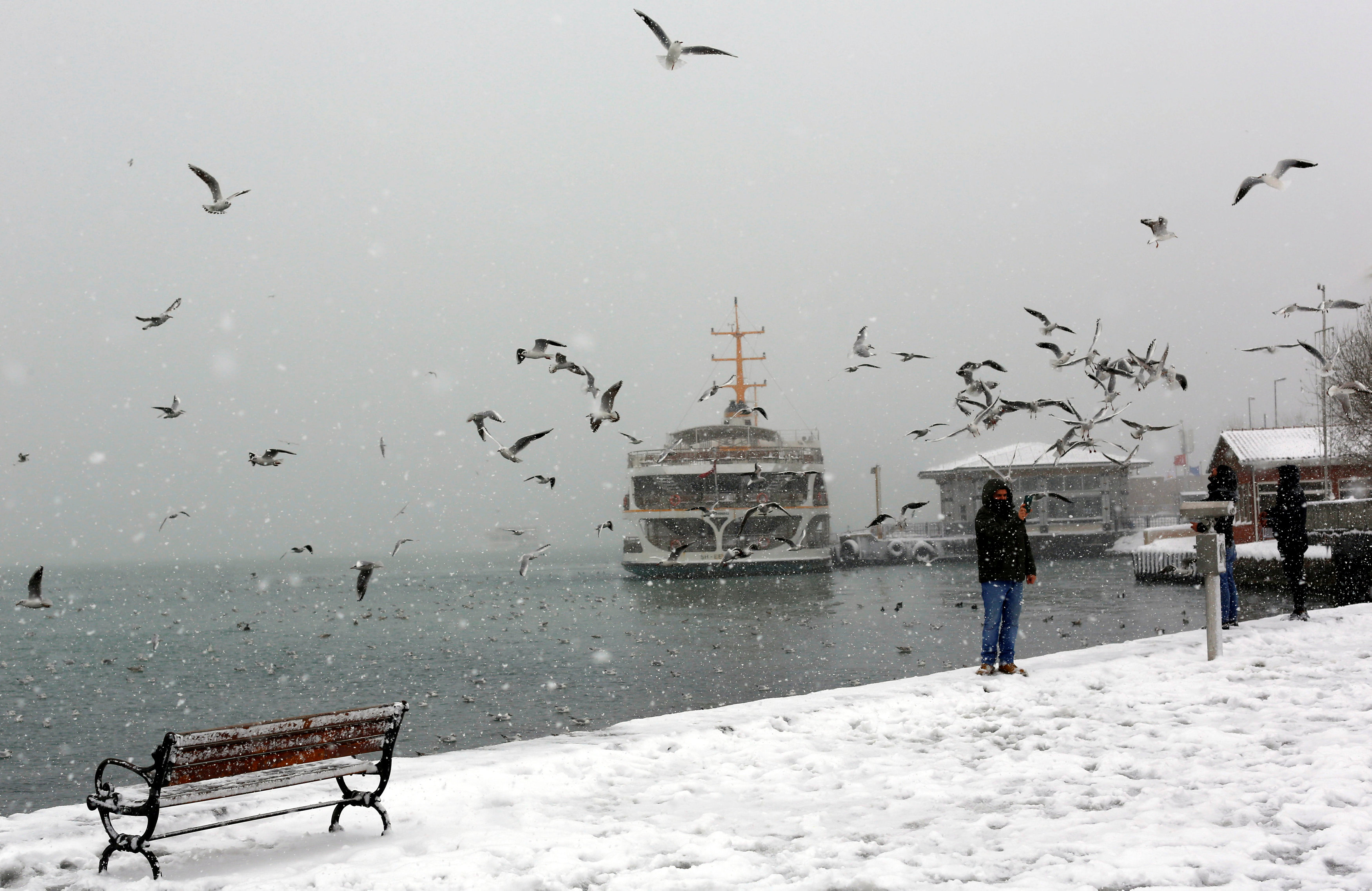 إطعام طيور النورس أثناء تساقط الثلوج في اسطنبول