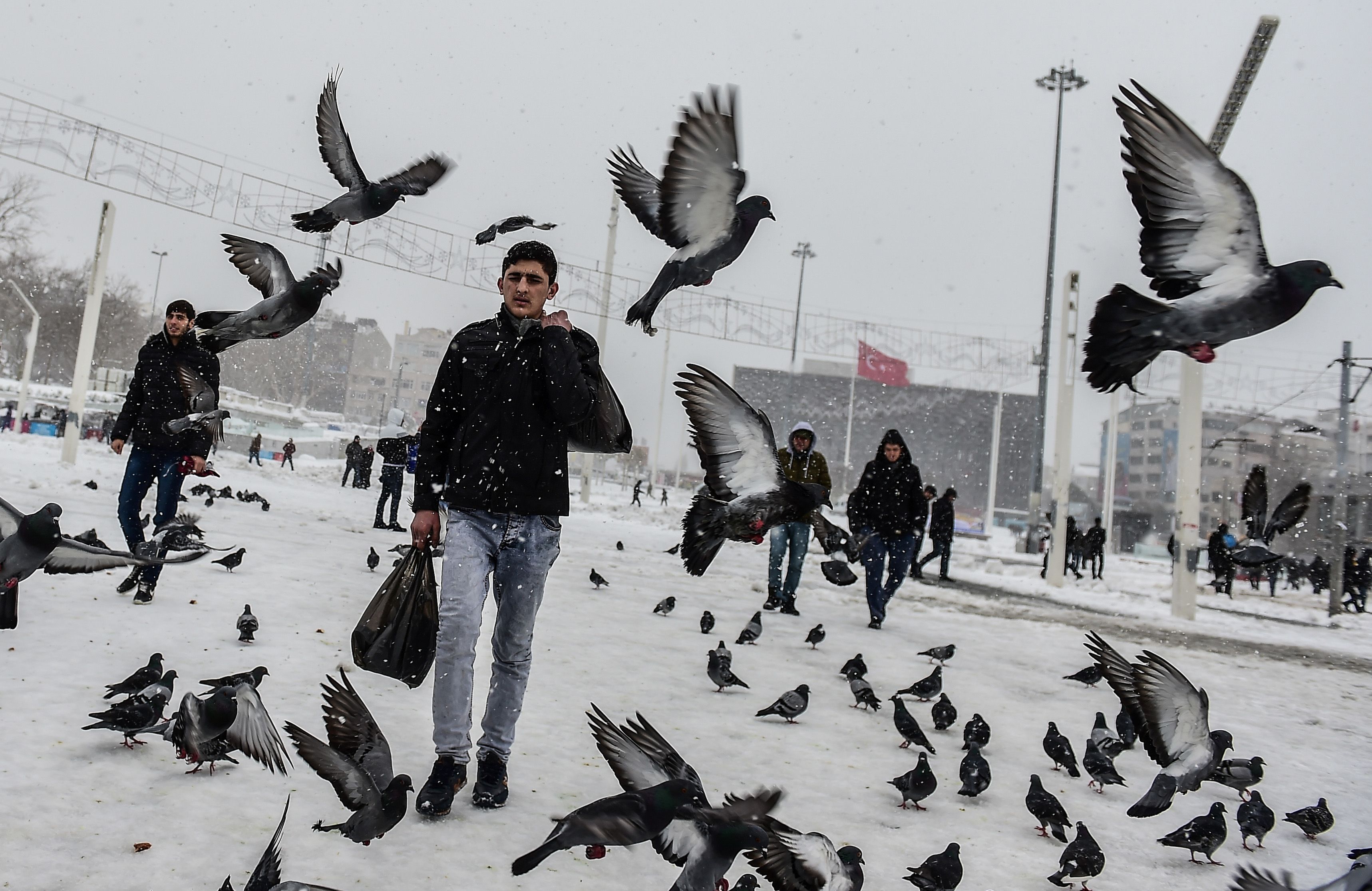 الطيور والشباب وسط الثلوج فى تركيا