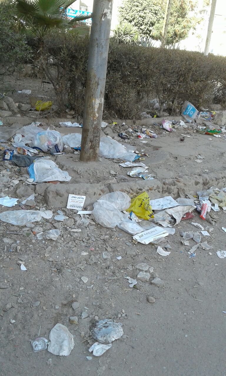 تطاير القمامة فى شوارع زهراء المعادى