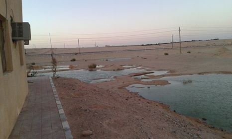 طفح المجارى بجوار كمين القوصية بأسيوط