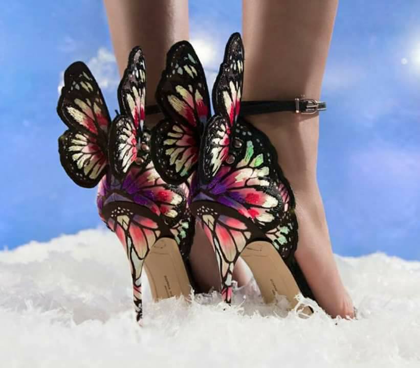 حذاء الفراشة
