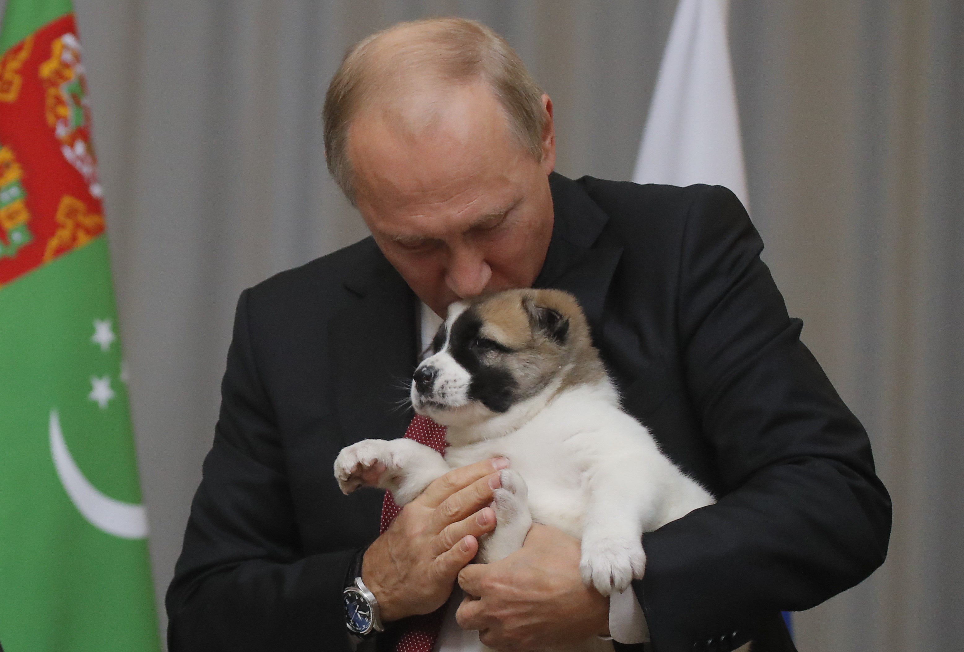 بوتين يقبل الكلب (2)
