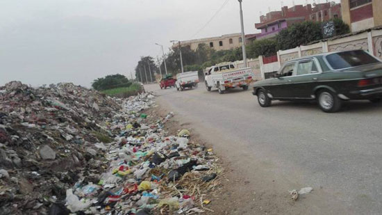 القمامة تحاصر مدرسة الشهيد تامر سعيد بسرياقوس
