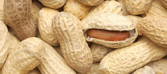 Peanuts (1)