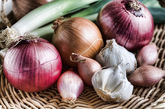 onion_garlic_alliums