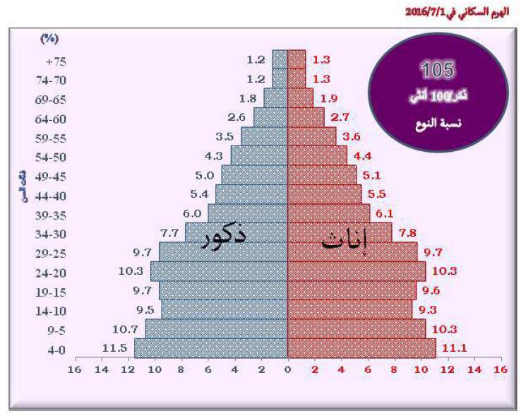 الهرم السكانى