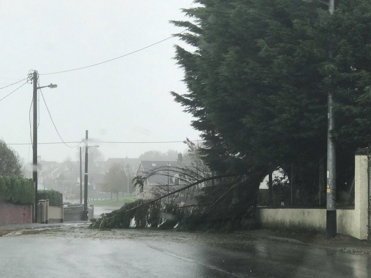 سقوط شجرة وسط الطريق بسبب العاصفة