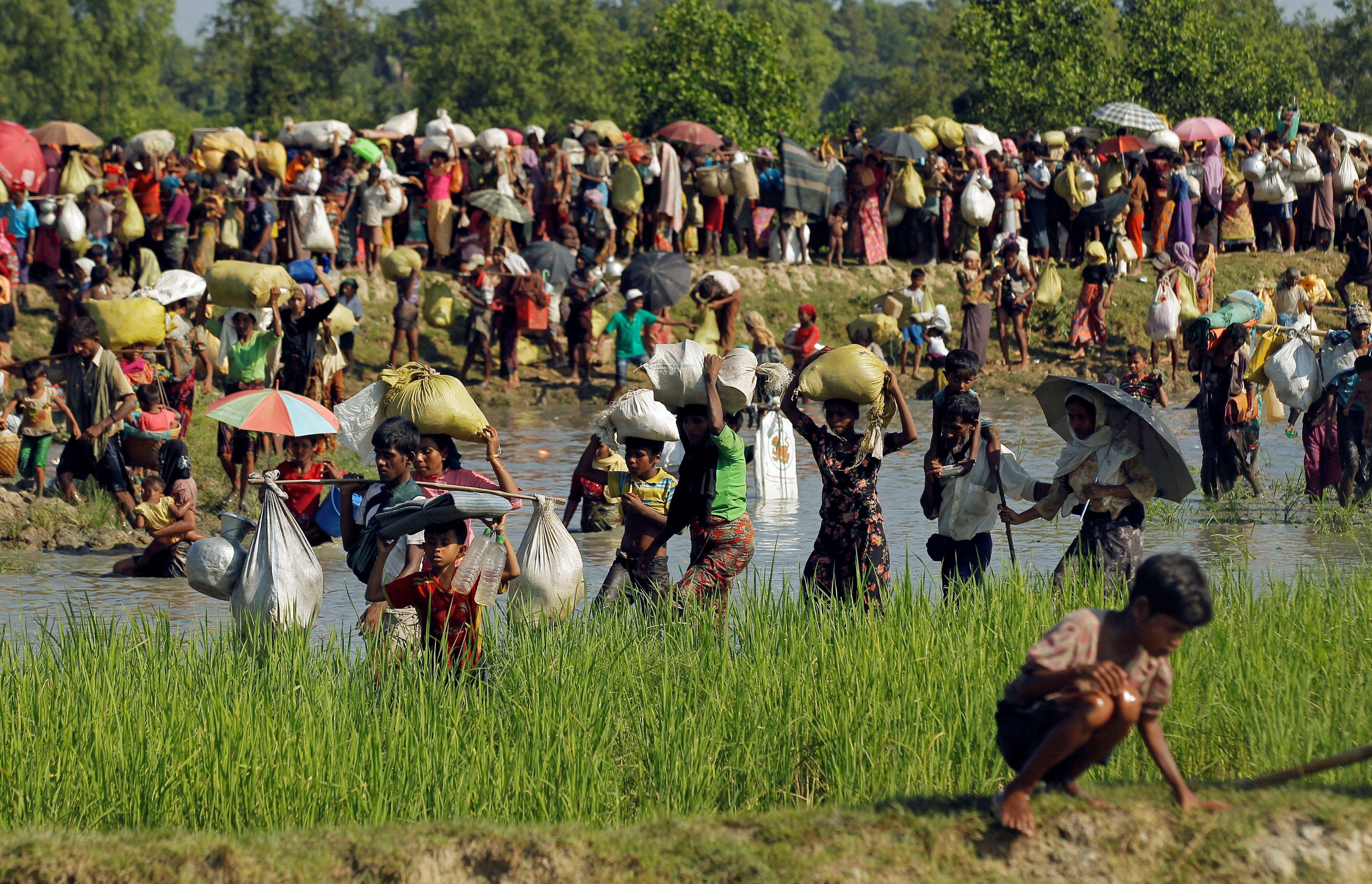 فرار آلاف من مسلمى الروهينجا إلى بنجلاديش