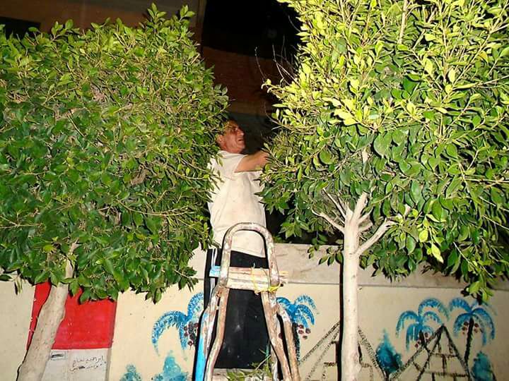 مدير المدرسة، محمد محمد عيسى