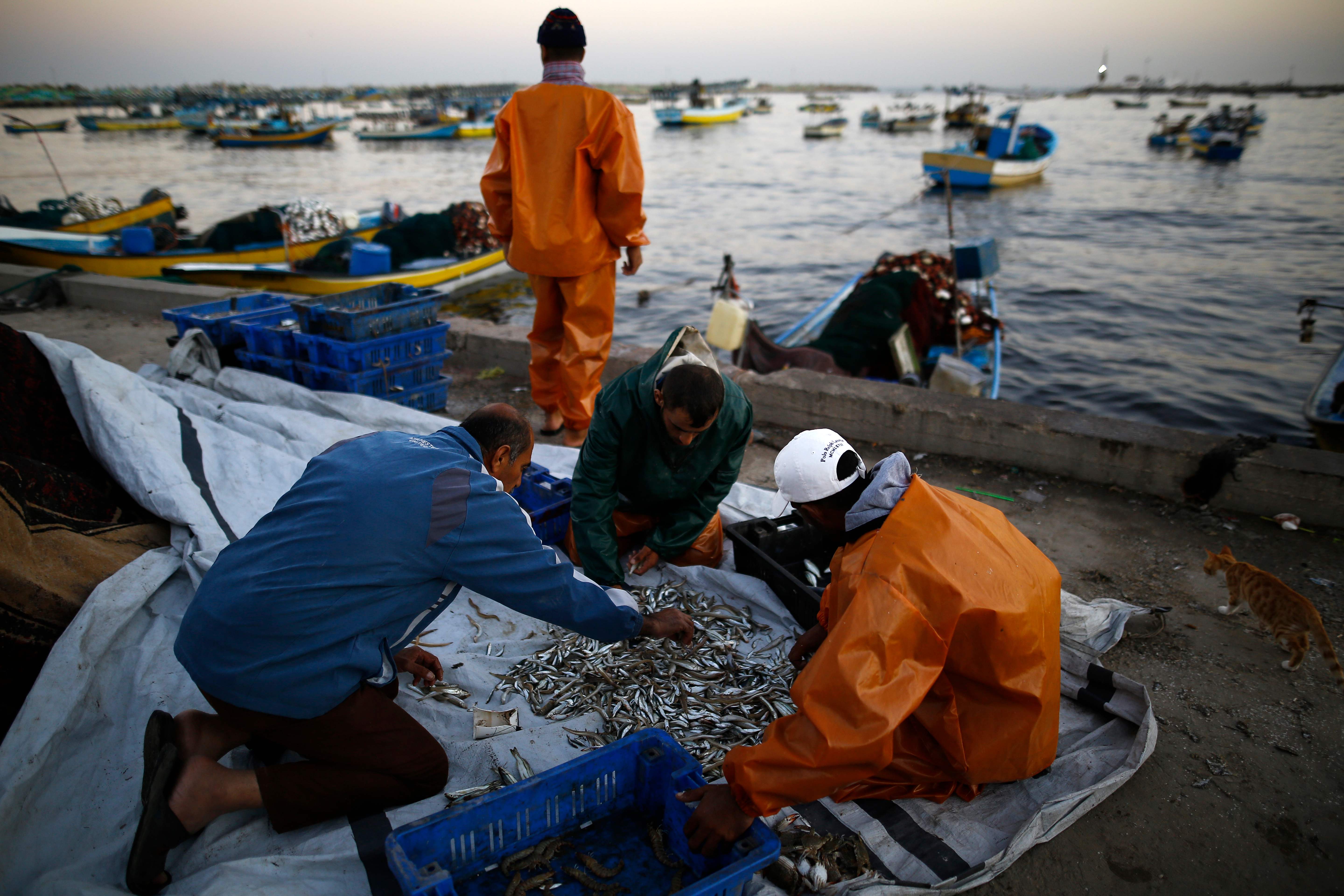 استعدادات صيادى غزة عقب سماح إسرائيل بالإبحار لـ9 أميال بحرية
