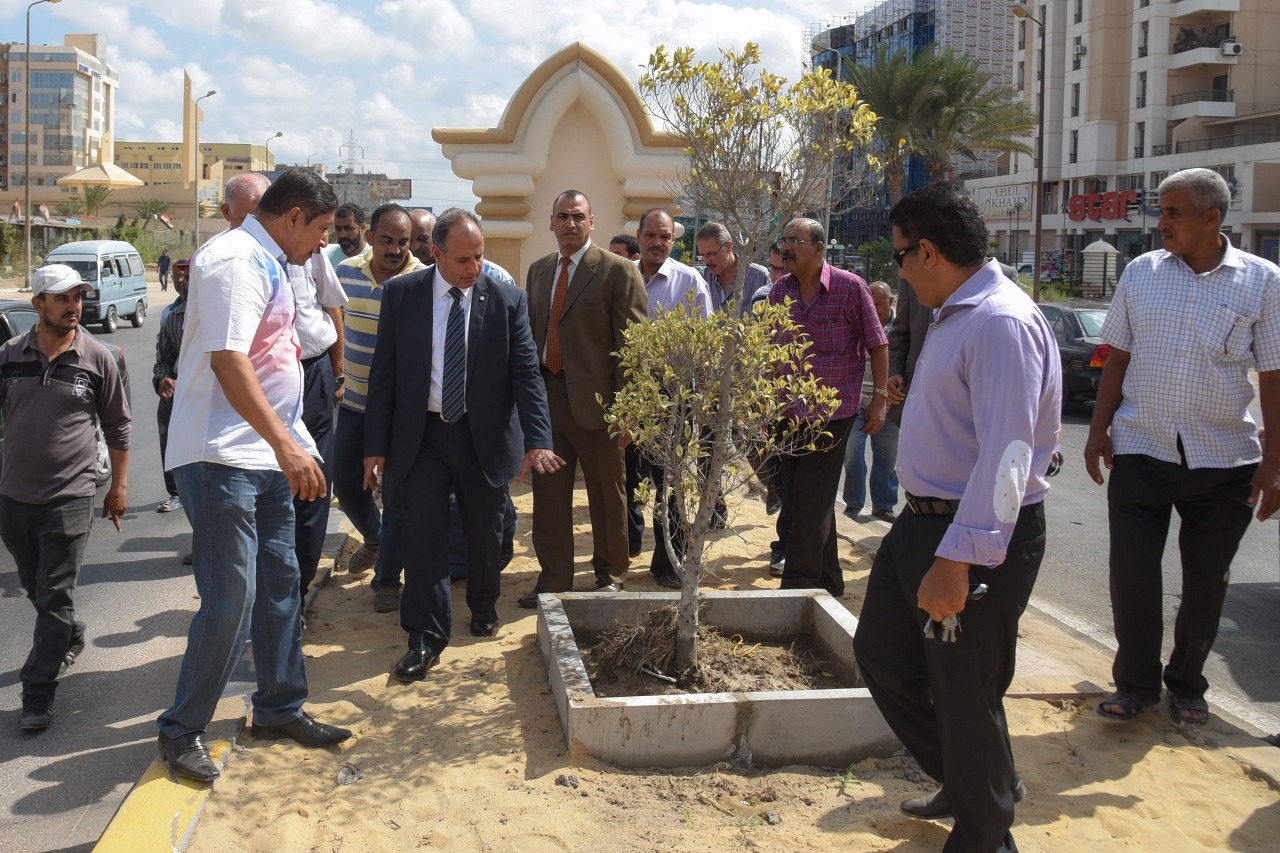 محافظ الإسكندرية يتفقد أعمال تطوير المدخل الزراعى (2)