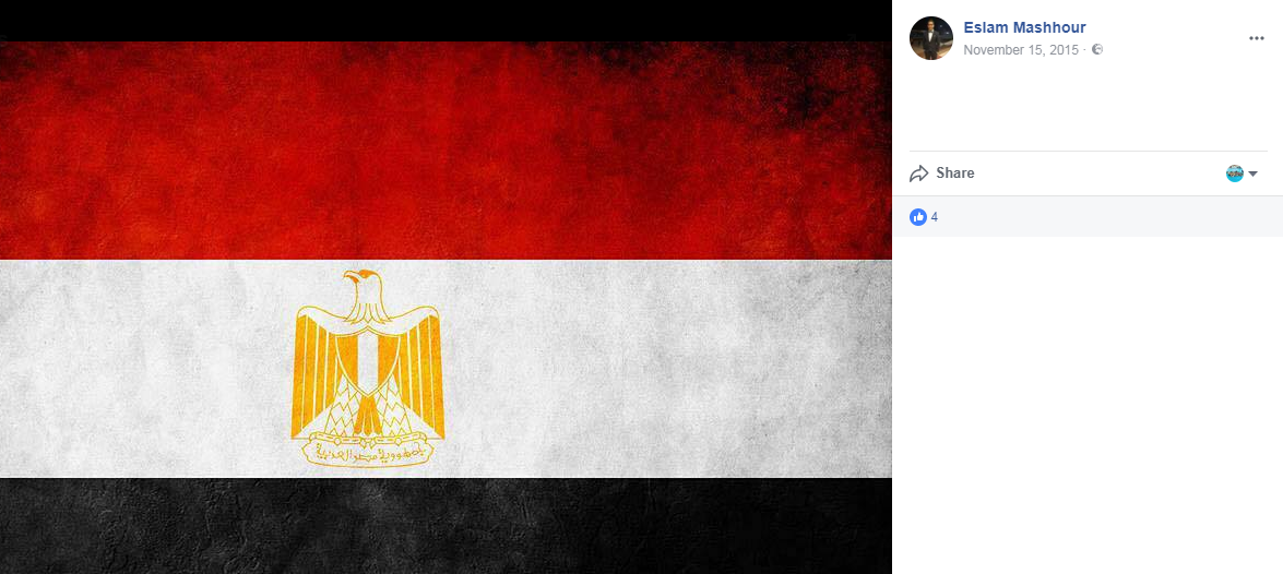 علم مصر يزين جدار الشهيد