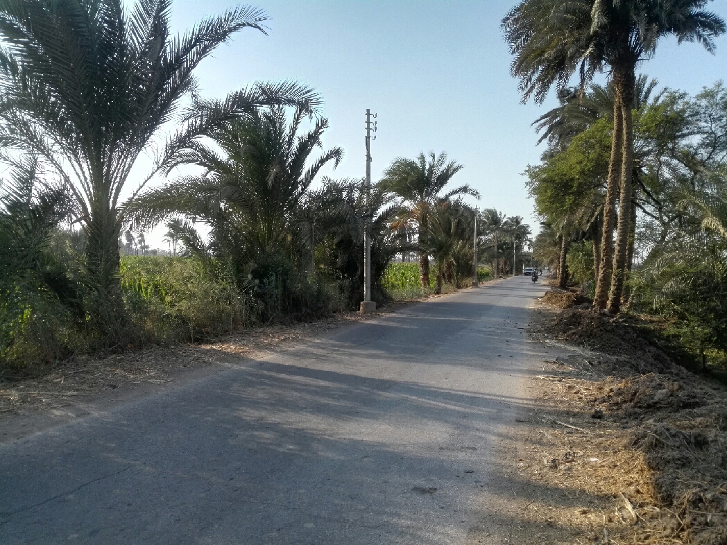 4- اعمدة بلا اسلاك و كشافات اضاءة على  طريق القرية